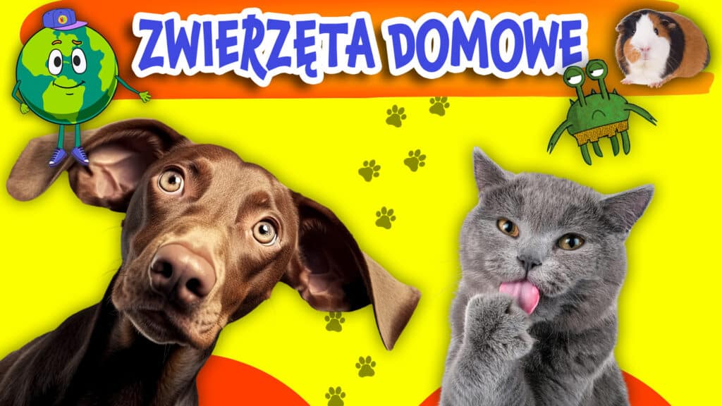 Zwierzęta domowe – Znasz je wszystkie?
