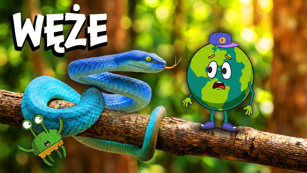 WĘŻE – Dlaczego nie mają nóg?