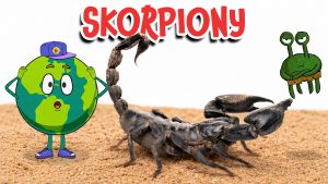 Skorpiony
