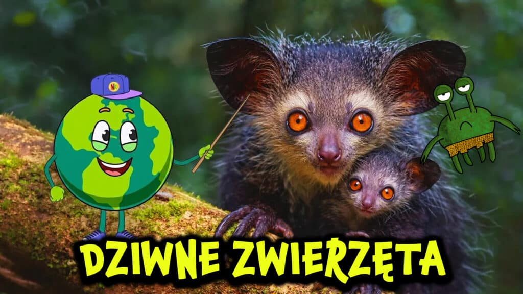 Najdziwniejsze zwierzęta na świecie