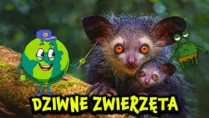 Najdziwniejsze zwierzęta na świecie